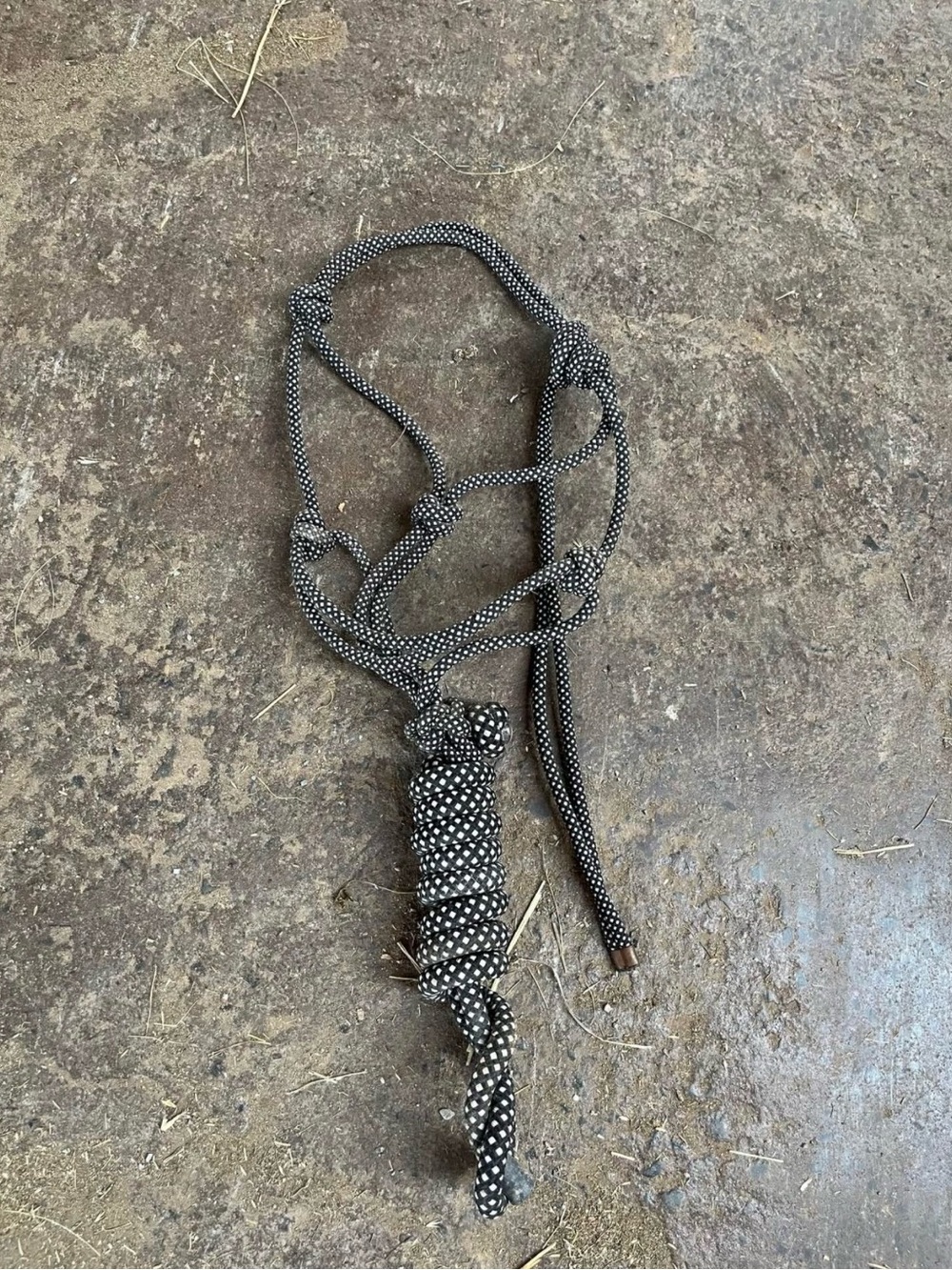 Rope halter